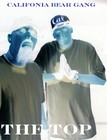 Picture for song 'The Top' by artist 'CALIFORNIA BEAR GANG'