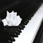 Picture for song 'Dreaming Away' by artist 'CK Beatz'