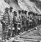 Picture for song 'Prisoner Of The Blues' by artist 'Dennis McClung Blues Band (US)'