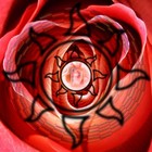 Picture for song 'Near Your Energy (Renee Anderson / DHW)' by artist 'DHW'