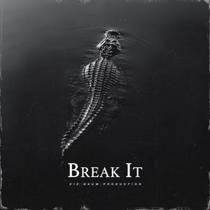 Picture for song 'BREAKE IT (Dark Trap X Gangsta Horror Type Beat)' by artist 'Die Naum Production'
