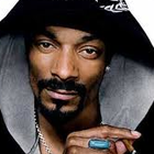 Picture for song '100%' by artist 'DJCBZ'