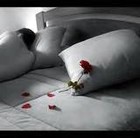 Picture for song 'LONELY NIGHTS EMPTY DAYS (WITHOUT YOU)' by artist 'Dr. Bob's Jazz - Benefit Boppin' Quartet - JBBQ'