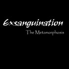 Picture for song 'Metamorphosis' by artist 'Exsanguination (JP)'