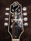 Picture for song 'The Loar vs The Flatiron' by artist 'Fstpicker'