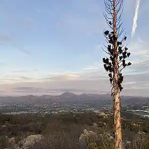 Picture for song 'Tanaka' by artist 'Gagmesharkoff'