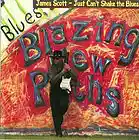 Picture for song 'Life Goes On' by artist 'James Dale Scott'