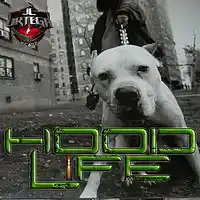 Picture for song 'Hood Life * jlortegabeatz.com' by artist 'JL Ortega Beatz'