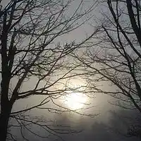 Picture for song 'I Cant See The Sun' by artist 'Kelton Ree'