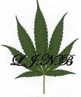 Picture for song 'Just A Nother Lil Track!' by artist 'LjNB'