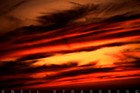 Picture for song 'the way i see it' by artist 'lost generation music (us)'