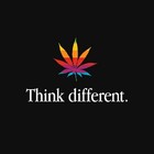 Picture for song 'JBxTHINKDIFFERENT(FREEDL!2011)' by artist 'Major League Pro'