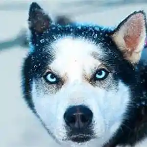 Picture for song 'JODIE FOSTER CONTACT 2CX PRODUCTIONS light gliding' by artist 'mcmakktenicetxtheprince'