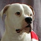 Picture for song 'Ready 4 War' by artist 'MIDWEST HUSTLAZ'