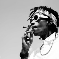 Picture for song 'PRIVATE FLIGHT ' by artist 'MIKE CHEK MUSIC.'