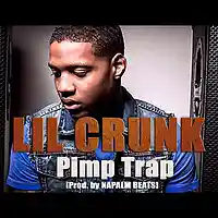 Picture for song 'LIL CRUNK - 138BPM Pimp Trap' by artist 'NAPALM BEATS'