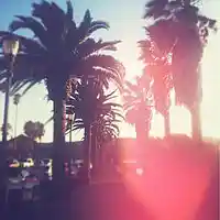 Picture for song 'Dope now' by artist 'New horizon'