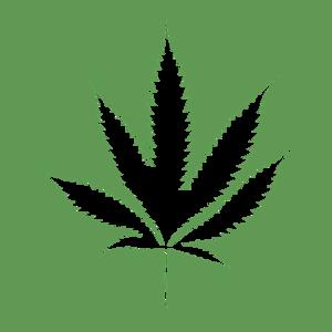 Picture for song 'Marimanyana' by artist 'Nick Crenshaw'