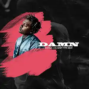 Picture for song 'Damn' by artist 'No30music'