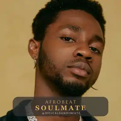 Picture for song 'SOULMATE - Afrobeat' by artist 'OfficialDanoeBeatz'