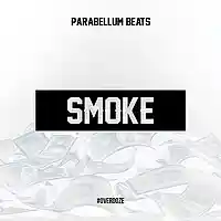 Picture for song 'Smoke' by artist 'Parabellum Beats'