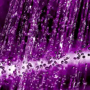 Picture for song 'Purple Rain' by artist 'Primestars'