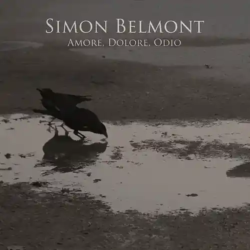 Picture for song 'Simon Belmont - Amore, Dolore, Odio (ADR 002) - 06' by artist 'Simon Belmont MI'