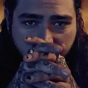 Picture for song 'WILDCOWBOY' by artist 'Sayezthegreat1'