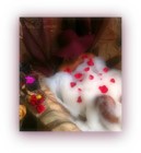 Picture for song 'A Little Bit More (featuring SOLE HARMONY)' by artist 'Shivers Entertainment'