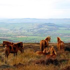 Picture for song 'Wenlock Edge (Third Excerpt)' by artist 'Simon J Mills'