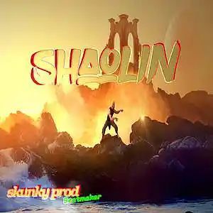 Picture for song 'Shaolin * trap beat 142 bpm' by artist 'Skunky Prod Beatmaker'