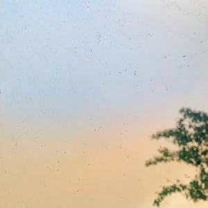 Picture for song 'Miami' by artist 'I055 for Love'