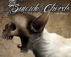 Picture for song 'The Suicide Chords: Anthem' by artist 'Swagger Recording Studios'