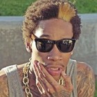 Picture for song 'Reefa |Wiz Khalifa| (.99 Demo DL)' by artist 'SwiFT Liberace'