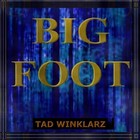 Picture for song 'Big Foot' by artist 'Tad Winklarz'