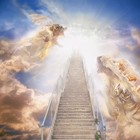 Picture for song 'On My Way Up (FREE DL)' by artist 'Tatz On The Track'