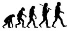 Picture for song 'Evolution' by artist 'The RT Project'