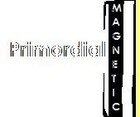 Picture for song 'Primordial Magnetic 288120' by artist 'The Shimmer Effect'