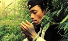 Picture for song '*NEW* JetLife | FREEDL!' by artist 'Vybe Beatz'