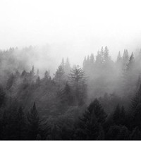 Picture for song 'Dont Forget Me ' by artist 'W4VE P4RTY'