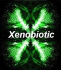 Picture for song 'The Voice orig. (Instrumental)' by artist 'Xenobiotic'