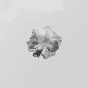 Picture for song 'MADAMA Hard trap beat 2022' by artist 'Zalfprod'