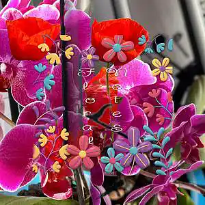 Picture for song 'Reves Bleus' by artist 'Antonio Rotunda'