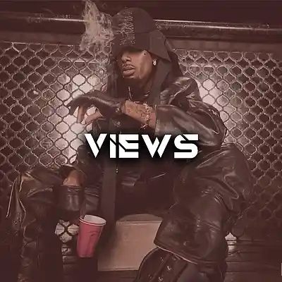 Picture for song 'Views (CoProduced. thezachmichael)' by artist 'Brandnew Beats'