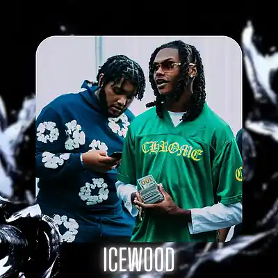 Picture for song '"ICEWOOD" Detroit & Babyfxce E Type Beat' by artist 'D V 1 R V E R S BEATS'