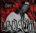 Picture for song 'BGR Vo.1 (LShawn) BigL Freestyle' by artist 'LShawn Productions'