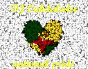 cover pic