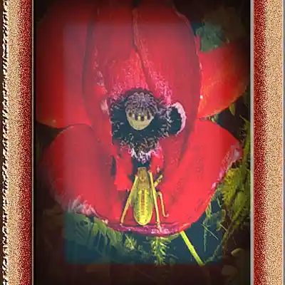 Picture for song 'momentos' by artist 'nirmanakaya'