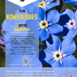 Picture for song 'Dia 16-Flor Nomeolvides' by artist 'Producciones Vandor'
