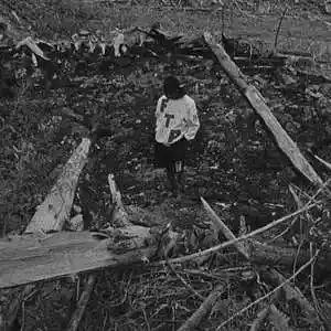 Picture for song 'Potion Night Lovell type beat' by artist 'radionthetrack'